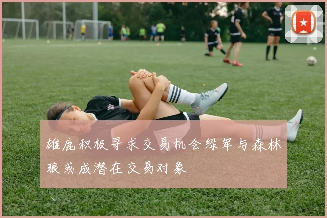 雄鹿积极寻求交易机会绿军与森林狼或成潜在交易对象