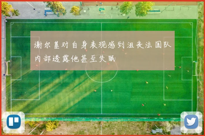 谢尔基对自身表现感到沮丧法国队内部透露他甚至失眠